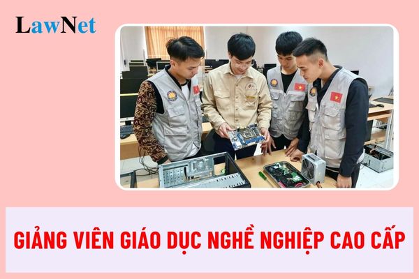 Giảng viên giáo dục nghề nghiệp cao cấp có nhiệm vụ gì?