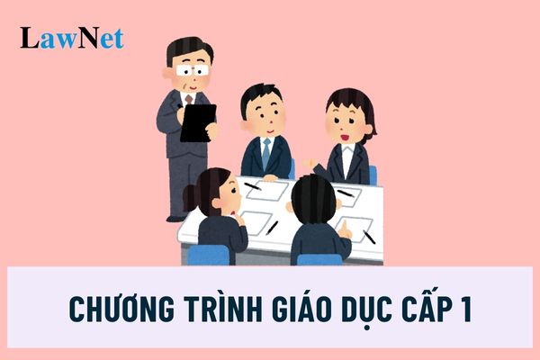 Chương trình giáo dục cấp 1 phải mang tính kế thừa, liên thông giữa các cấp học, trình độ đào tạo đúng không?