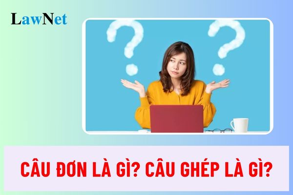 Câu đơn là gì? Câu ghép là gì? Các kiểu câu ghép mới nhất?