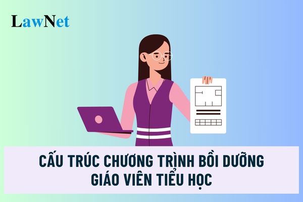 Nội dung chương trình bồi dưỡng chức danh nghề nghiệp giáo viên tiểu học gồm những gì?