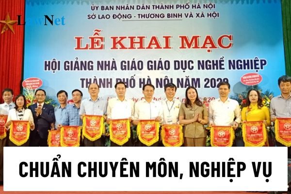 5 tiêu chí chuẩn chuyên môn, nghiệp vụ của nhà giáo dạy cao đẳng thế nào?