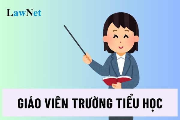 Trình độ chuẩn được đào tạo, chuẩn nghề nghiệp của giáo viên trường tiểu học được quy định thế nào?