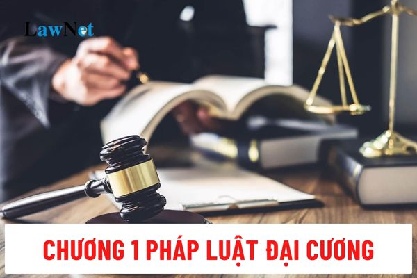 Chương 1 Pháp luật đại cương học những nội dung gì?