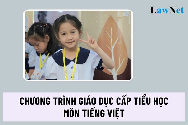 Chương trình giáo dục môn Tiếng Việt cấp tiểu học hiện nay cần đạt những yêu cầu về năng lực đặc thù nào?