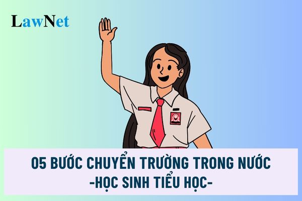 05 bước chuyển trường trong nước cho học sinh tiểu học ra sao? Thời hạn giải quyết thủ tục chuyển trường trong bao lâu?