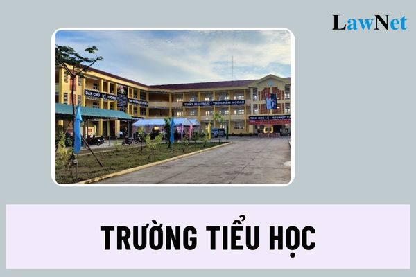 Cơ cấu tổ chức của trường tiểu học như thế nào? Trường tiểu học tư thục có Hội đồng trường không?