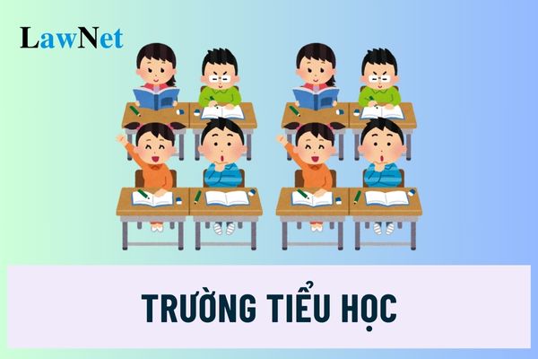 Trường tiểu học có phải cơ sở giáo dục phổ thông không? Cấp học và độ tuổi của giáo dục phổ thông thế nào?