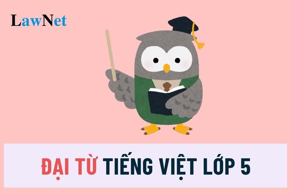 Trả lời câu hỏi về Đại từ Tiếng Việt lớp 5 Kết nối tri thức?