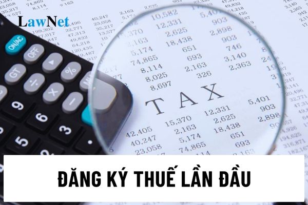 Trình tự đăng ký thuế lần đầu đối với người nộp thuế là cá nhân không kinh doanh thế nào?