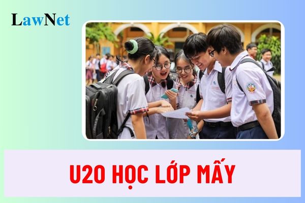 U20 là bao nhiêu tuổi? U2O học lớp mấy năm học 2024 2025?