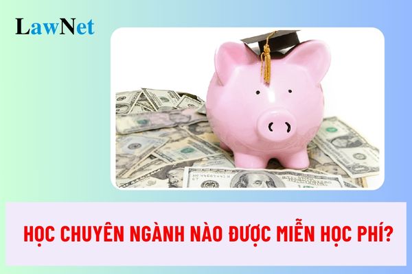 Sinh viên học chuyên ngành nào được miễn học phí 2024?