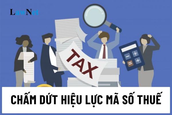 Trình tự thực hiện thủ tục chấm dứt hiệu lực mã số thuế đối với đơn vị phụ thuộc thế nào?