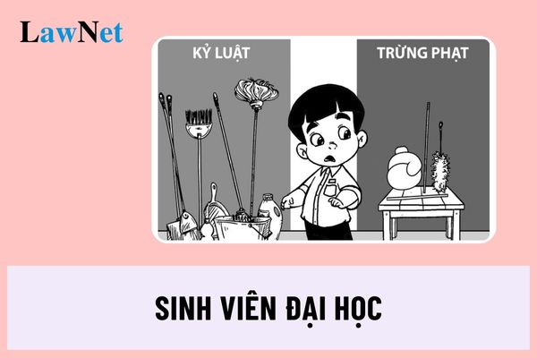 Sinh viên Đại học say rượu, bia khi đến lớp có bị đuổi học không?