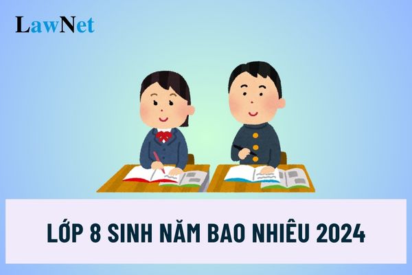 Lớp 8 sinh năm bao nhiêu 2024? Học sinh lớp 8 bao nhiêu tuổi?