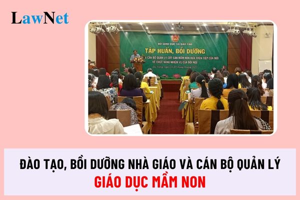 Đã có kế hoạch triển khai đào tạo, bồi dưỡng nhà giáo và cán bộ quản lý giáo dục mầm non giai đoạn 2018-2025?