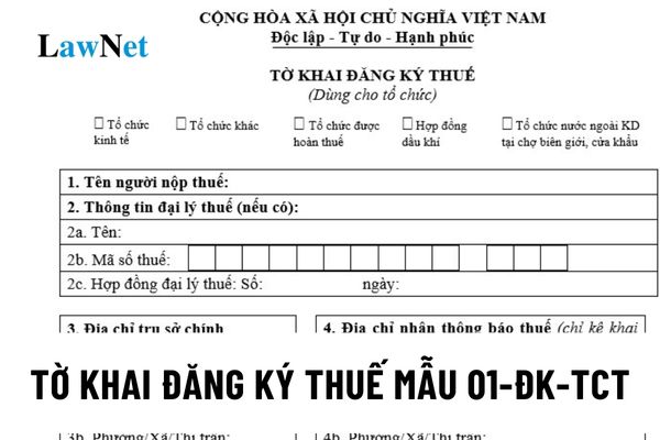 What does the taxpayer registration form 01-DK-TCT look like?