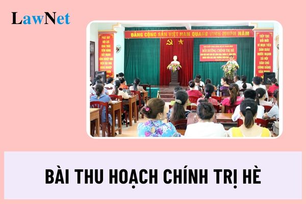 Bài thu hoạch chính trị hè 2024 liên hệ bản thân về chống lại các thế lực chống phá trong môi trường giáo dục?