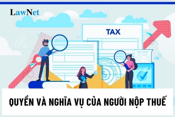 Quyền và nghĩa vụ của người nộp thuế trong kiểm tra thuế tại trụ sở của người nộp thuế là gì?