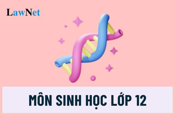 Nội dung môn Sinh học lớp 12 gồm những gì?