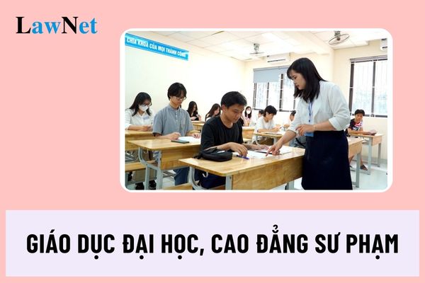 08 nhiệm vụ cụ thể trong giáo dục đại học, cao đẳng sư phạm năm học 2024 2025?