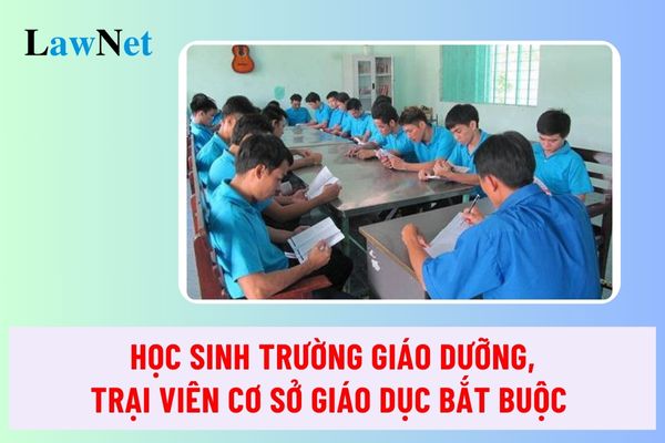 Trình tự thủ tục xếp loại thi đua quý đối với học sinh trường giáo dưỡng, trại viên cơ sở giáo dục bắt buộc thế nào?