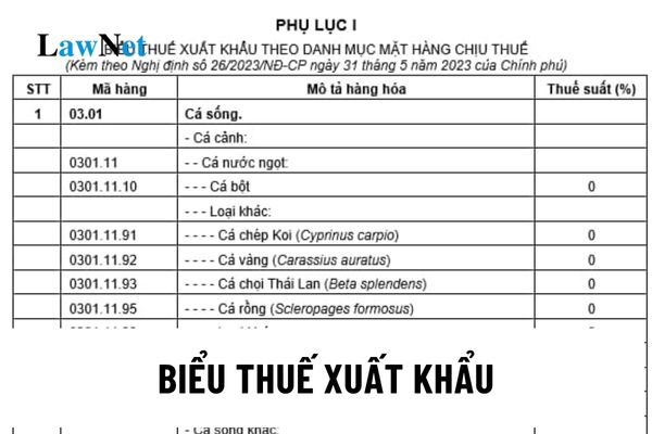 Biểu thuế xuất khẩu theo Danh mục mặt hàng chịu thuế?