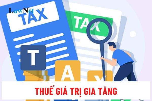 Thời hạn nộp tờ khai thuế giá trị gia tăng kỳ thuế tháng 8/2024 là ngày mấy?