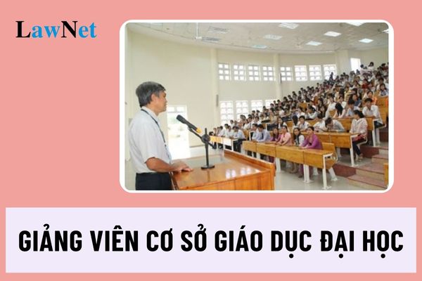 Giảng viên trong cơ sở giáo dục đại học là ai? Có mấy chức danh của giảng viên?