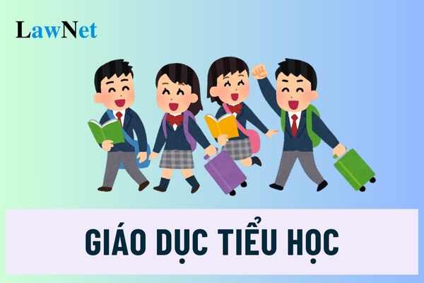 Giáo dục tiểu học là giáo dục bắt buộc đúng không?