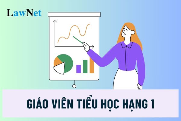 Giáo viên tiểu học hạng 1 mã số là gì? Điều kiện thi và xét tăng hạng giáo viên tiểu học hạng 1 ra sao?