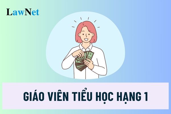 Hệ số lương của giáo viên tiểu học hạng 1 hiện nay được tính theo hệ số lương của viên chức loại nào?