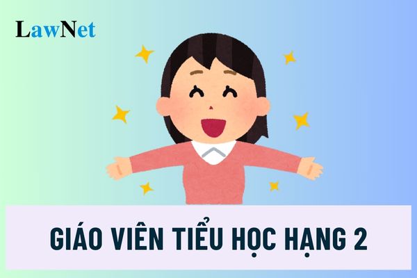 Giáo viên tiểu học hạng 2 mã số là gì? Điều kiện thi và xét tăng hạng giáo viên tiểu học hạng 2 ra sao?