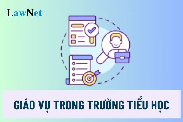 Các công việc cụ thể vị trí việc làm giáo vụ trong trường tiểu học theo Thông tư 20/2023/TT-BGDĐT thế nào?