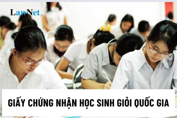 Giấy chứng nhận học sinh giỏi quốc gia do ai cấp?