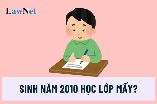 Sinh năm 2010 học lớp mấy năm 2024? Học sinh 2010 trường công lập có phải đóng học phí không?