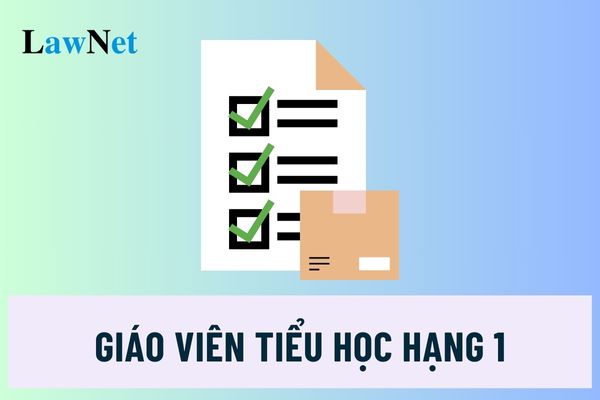 Tiêu chuẩn của giáo viên tiểu học hạng 1 là gì? Nhiệm vụ của giáo viên tiểu học hạng 1 ra sao?