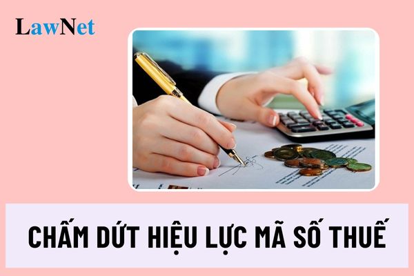 Doanh nghiệp hoạt động trong lĩnh vực bảo hiểm phải thực hiện nghĩa vụ gì trước khi chấm dứt hiệu lực mã số thuế?