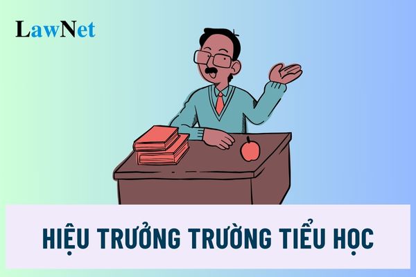 Hiệu trưởng trường tiểu học là ai? Nhiệm kì của hiệu trưởng trường tiểu học công lập là bao lâu?