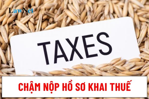 Chậm nộp hồ sơ khai thuế thu nhập cá nhân sẽ bị xử phạt như thế nào?