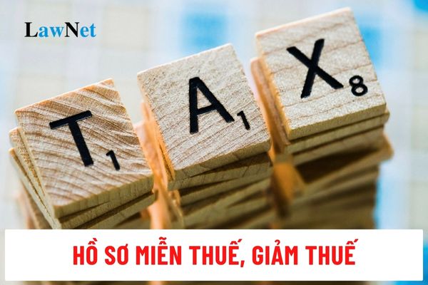 Hồ sơ miễn thuế, giảm thuế bao gồm những gì?