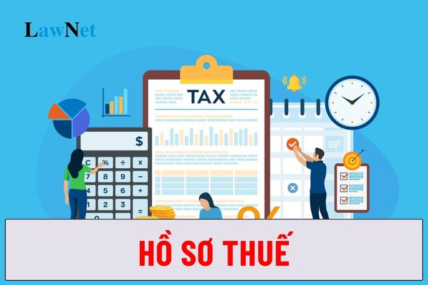 Hồ sơ thuế gồm những hồ sơ nào? Hồ sơ hải quan có phải hồ sơ thuế không?