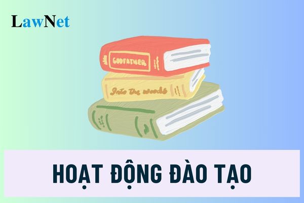 Tổ chức hoạt động đào tạo trong trường cao đẳng được quy định thế nào?