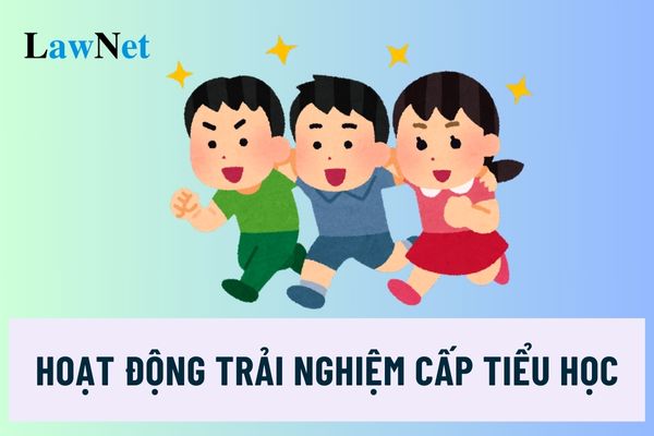 Hoạt động trải nghiệm cấp tiểu học trong CTGDPT 2018 được triển khai thực hiện thế nào?