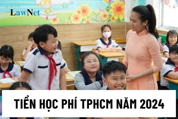 Ho Chi Minh City 2024 public school tuition fees