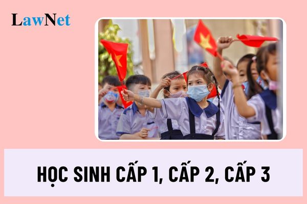 Môn tự chọn của học sinh cấp 1, cấp 2, cấp 3 là những môn nào?