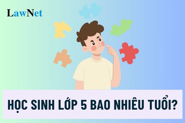 Học sinh lớp 5 bao nhiêu tuổi? Nội dung đánh giá học sinh lớp 5 mới nhất là gì?