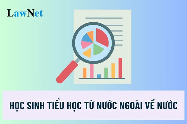 Học sinh tiểu học chuyển từ nước ngoài về nước phải khảo sát trình độ đúng không?