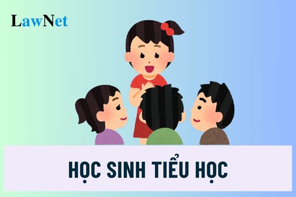 Trách nhiệm của giáo viên trong việc đánh giá học sinh tiểu học như thế nào?