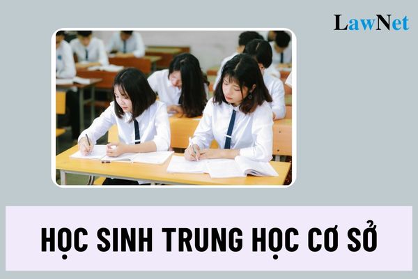 Hiện nay có bao nhiêu mức đánh giá kết quả học tập học sinh trung học cơ sở?