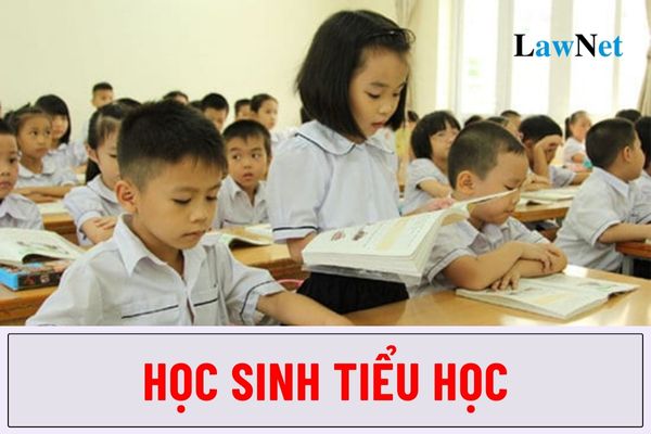 Học sinh tiểu học bao nhiêu tuổi? Nhiệm vụ của học sinh tiểu học là gì?